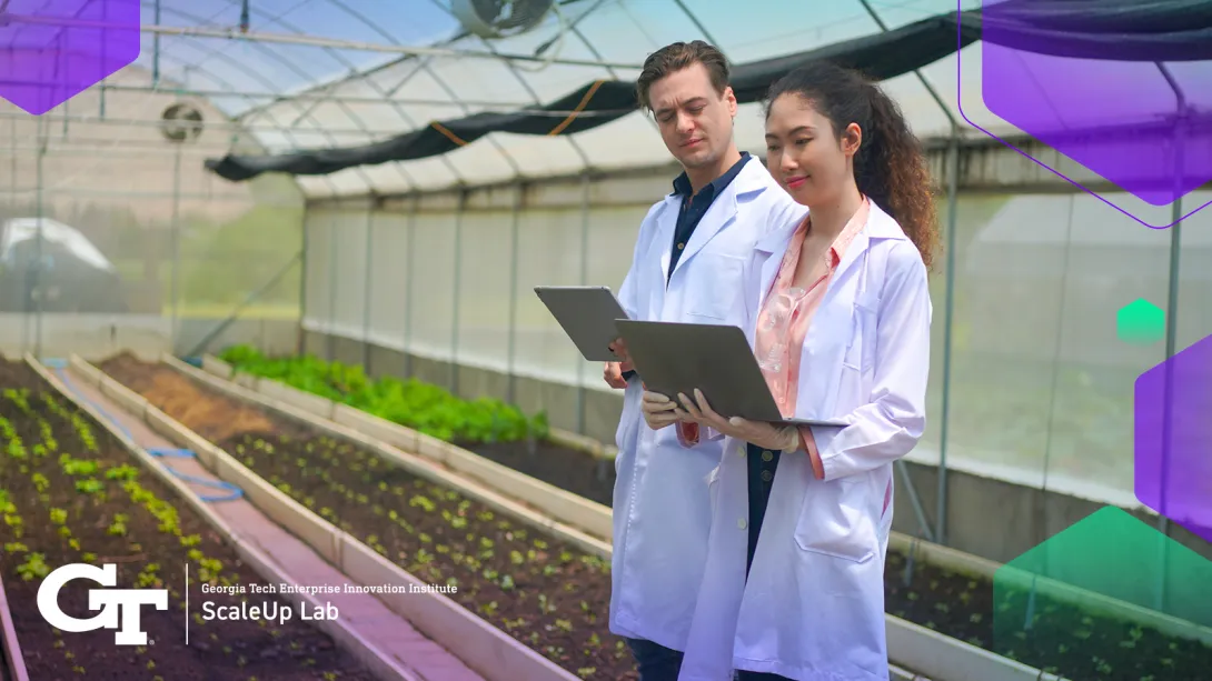 indoor sustainable farm